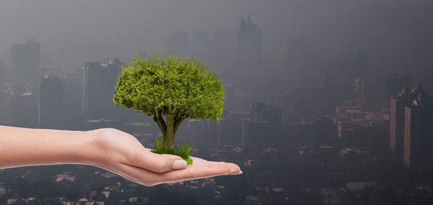 Mitos y realidades sobre la contaminación