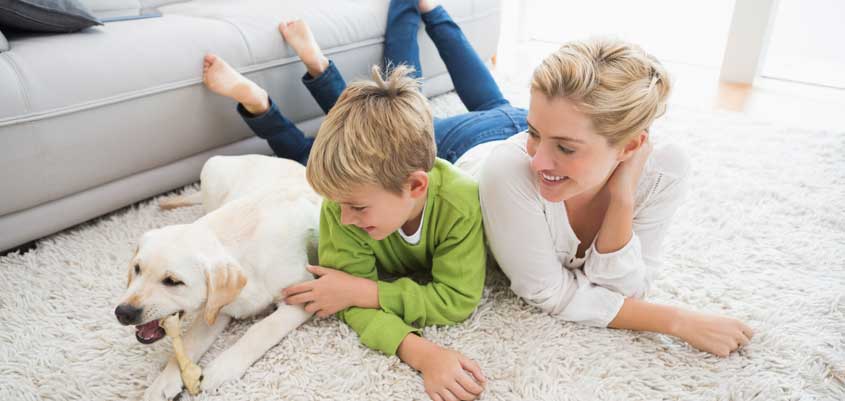 Sondas de calidad del aire, ¿cómo pueden ayudarnos?